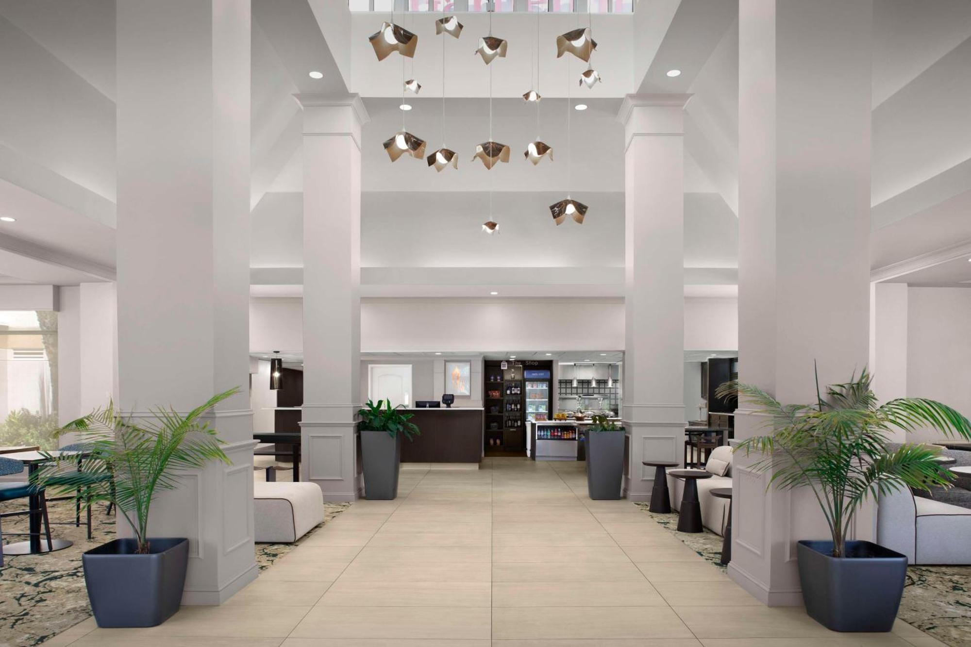 Hilton Garden Inn Gainesville Esterno foto